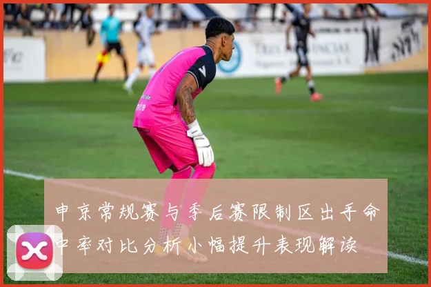 申京常规赛与季后赛限制区出手命中率对比分析小幅提升表现解读